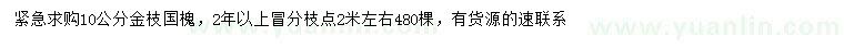 求購10公分金枝國槐