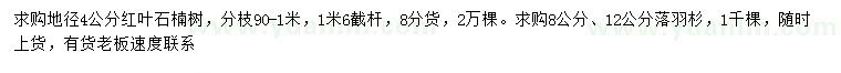 求購地徑4公分紅葉石楠樹、8、12公分落羽杉