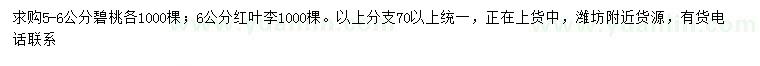 求購5-6公分碧桃、6公分紅葉李