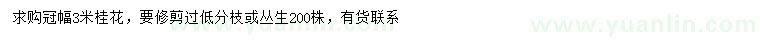 求購冠幅3米桂花