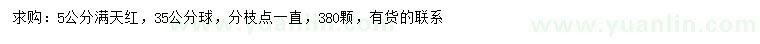 求購5公分滿天紅