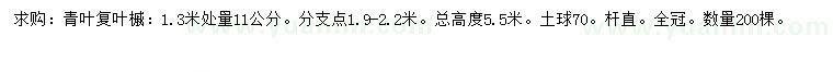 求購1.3米量11公分青葉復(fù)葉槭