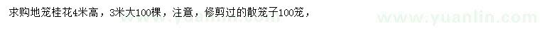 求購高4米地籠桂花