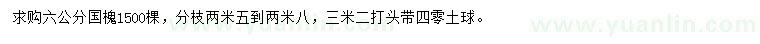 求購6公分國槐