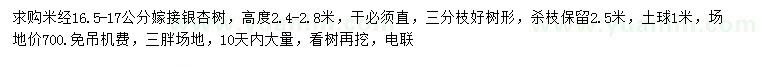 求購米經(jīng)16.5-17公分嫁接銀杏