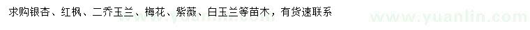 求購(gòu)銀杏、紅楓、二喬玉蘭等