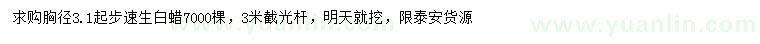 求購胸徑3.1米起步速生白蠟