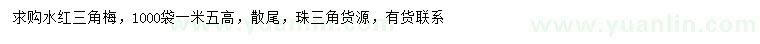 求購(gòu)高1.5米水紅三角梅