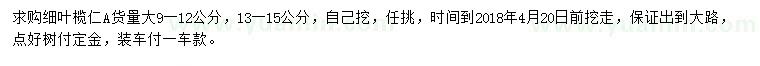 求購9-12、13-15公分細(xì)葉欖