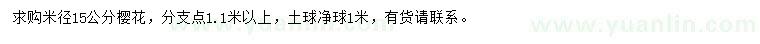 求購米徑15公分櫻花