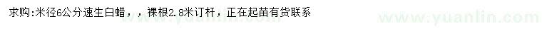 求購(gòu)米徑6公分速生白蠟