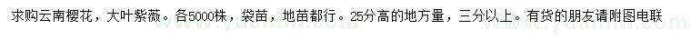 求購25公分云南櫻花、大葉紫薇