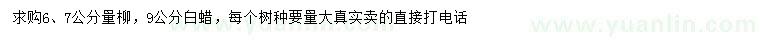 求購6、7公分旱柳、9公分白蠟