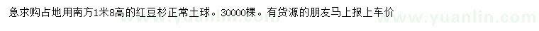 求購(gòu)高1.8米紅豆杉