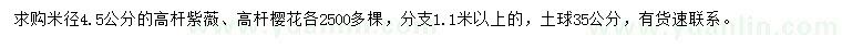 求購(gòu)米徑4.5公分高桿紫薇、高桿櫻花