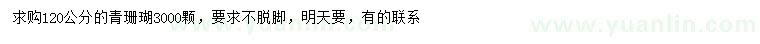 求購120公分青珊瑚