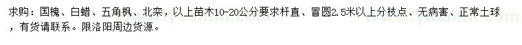 求購國槐、白蠟、五角楓等
