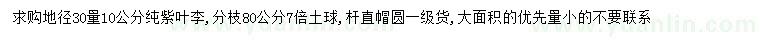 求購地徑30量10公分紫葉李