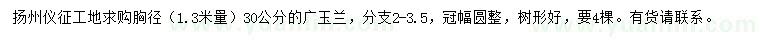 求購(gòu)胸徑1.3米量30公分廣玉蘭