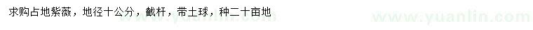 求購地徑10公分占地紫薇