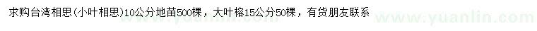 求購(gòu)10公分臺(tái)灣相思、15公分大葉榕