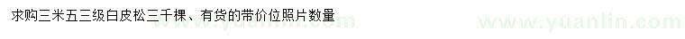 求購(gòu)3.5米白皮松