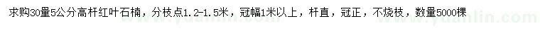 求購30公分量5公分高桿紅葉石楠