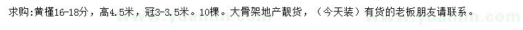 求購(gòu)16-18公分黃槿