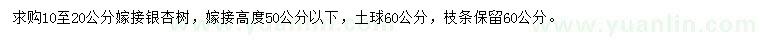 求購10-20公分嫁接銀杏