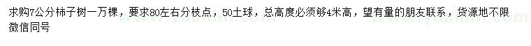 求購7公分柿子樹