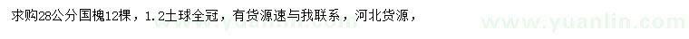 求購(gòu)28公分國(guó)槐