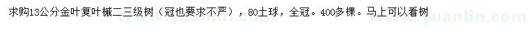 求購13公分金葉復(fù)葉槭