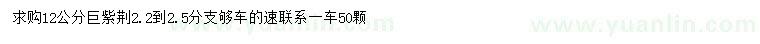 求購12公分巨紫荊