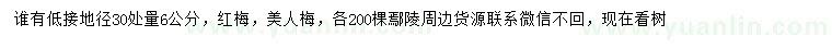 求購地徑30公分量6公分紅梅、美人梅