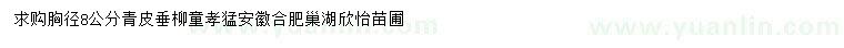 求購胸徑8公分青皮垂柳