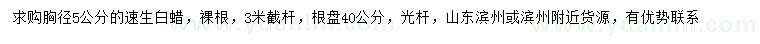 求購胸徑5公分速生白蠟