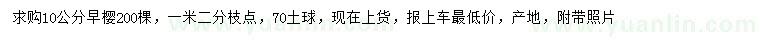 求購10公分早櫻