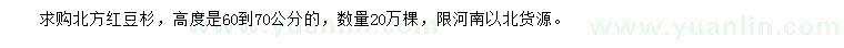 求購高60-70公分北方紅豆杉