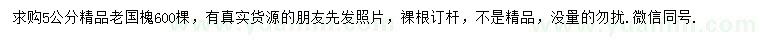 求購5公分精品老國槐