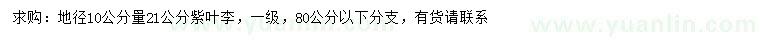 求購地徑10公分量21公分紫葉李