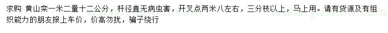 求購1.2米量12公分黃山欒