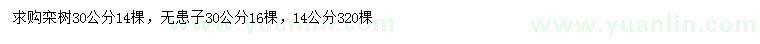 求購30公分欒樹、14、30公分無患子
