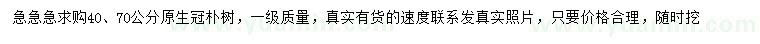 求購40、70公分樸樹