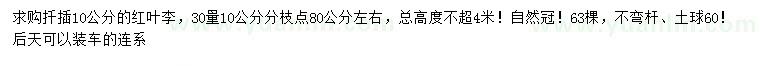 求購30公分量10公分紅葉李