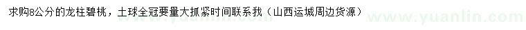 求購8公分龍柱碧桃
