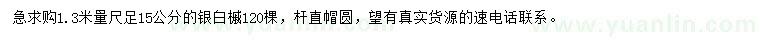 求購1.3米量足15公分銀白槭