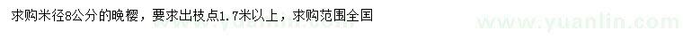 求購米徑8公分晚櫻