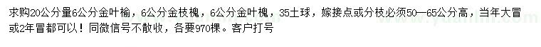 求購金葉榆、金枝槐、金葉槐