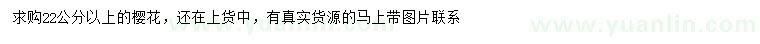 求購(gòu)22公分以上櫻花