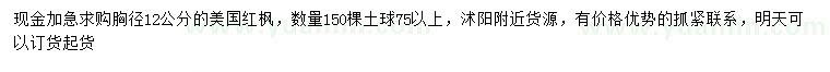 求購胸徑12公分美國紅楓